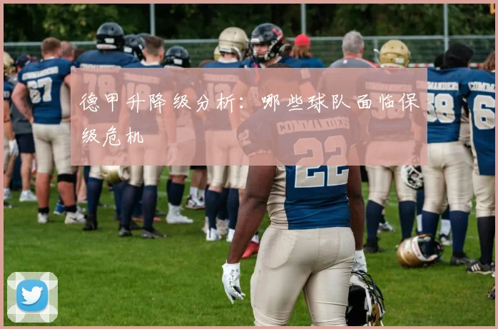 德甲升降级分析：哪些球队面临保级危机